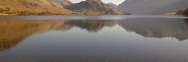 DocCroc13 Profile Banner