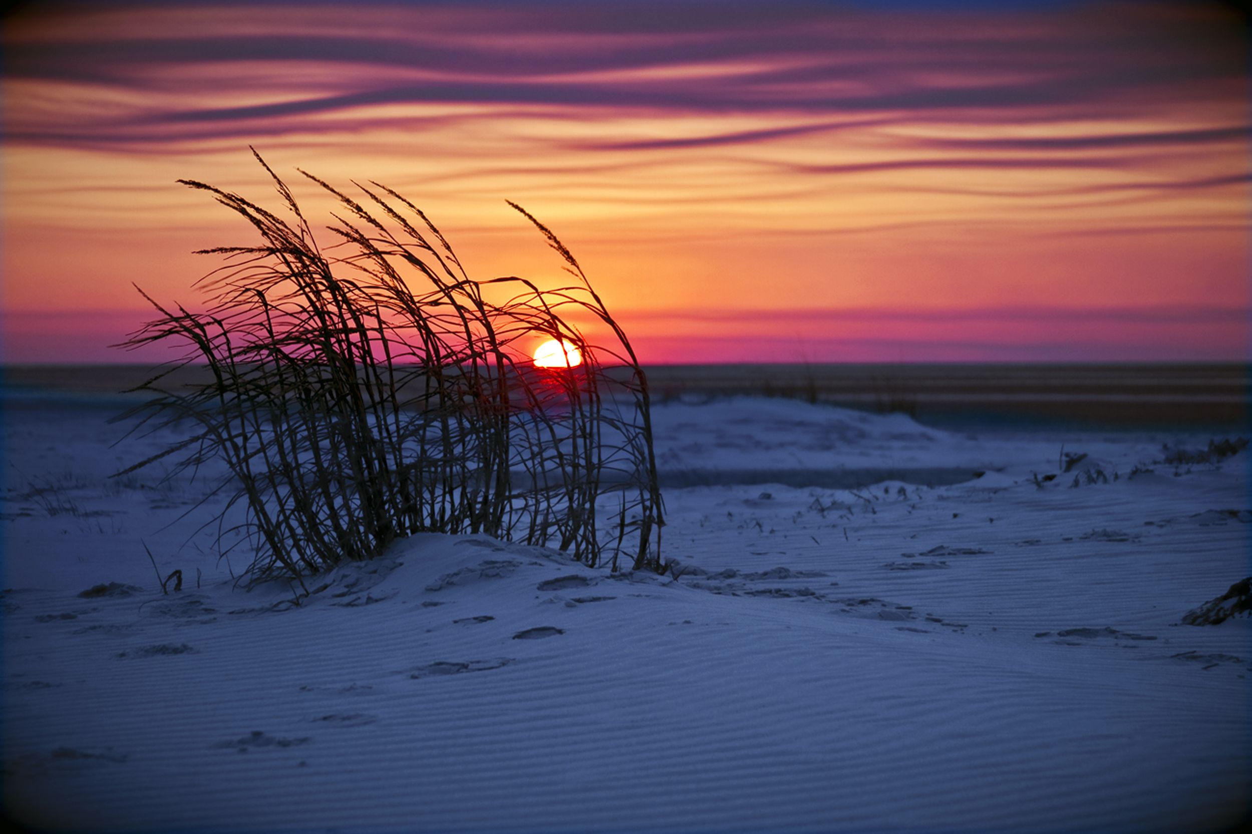 Charles_Mecklen's profile banner image