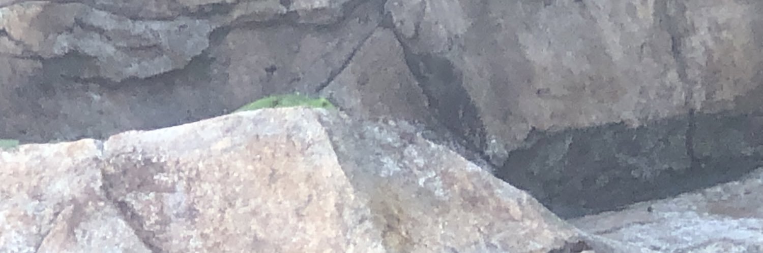 unkind | edouble banner