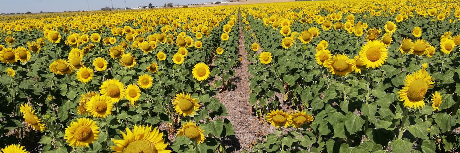 Ag de Conservación banner