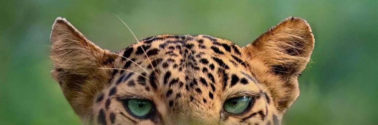 TraayMariee_'s profile banner image