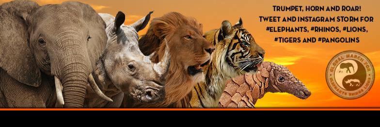 jkrosner0705's profile banner image