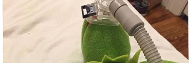 booboojeffrys's profile banner image