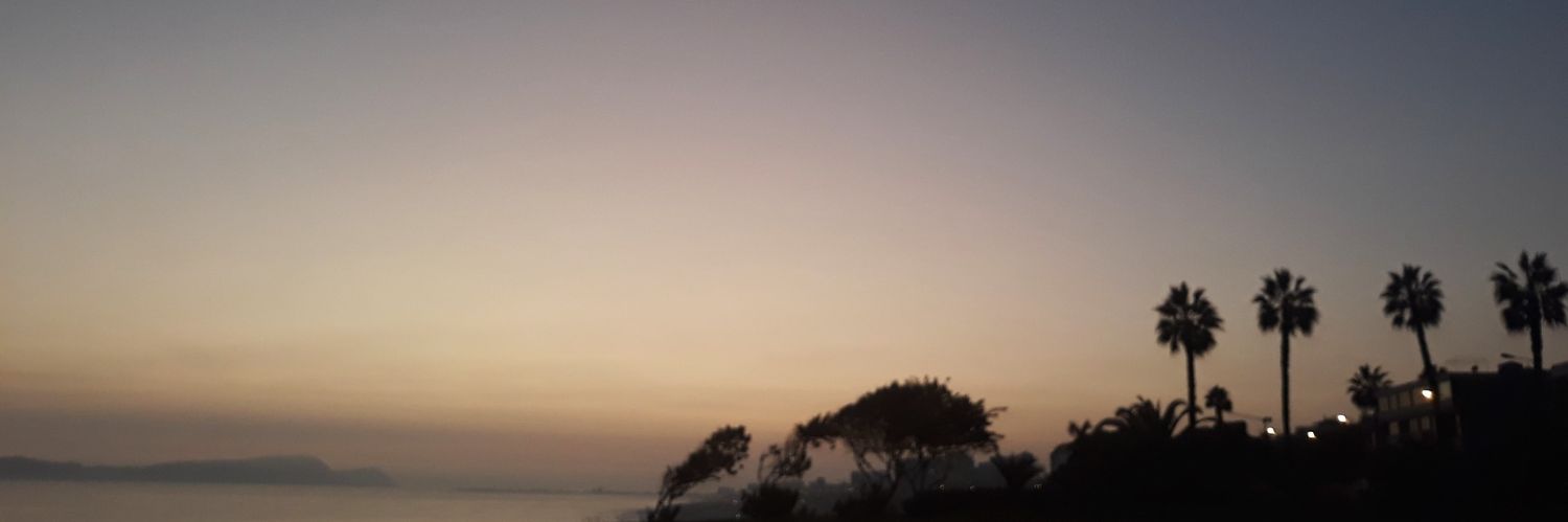 xvegecorex's profile banner image