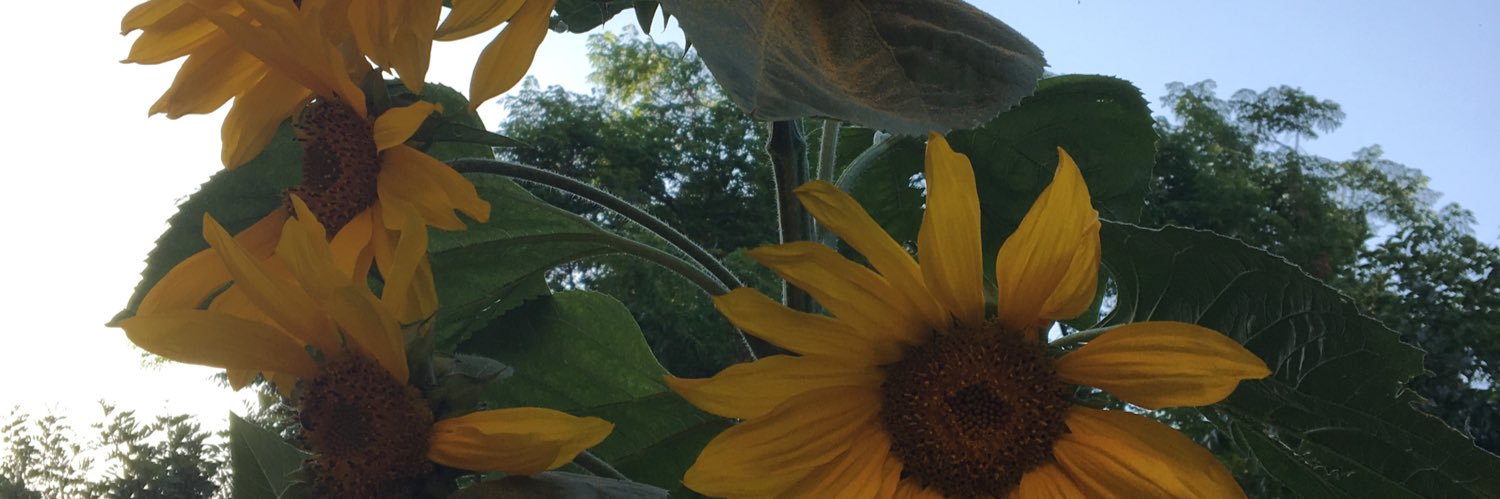 MabeletteB's profile banner image