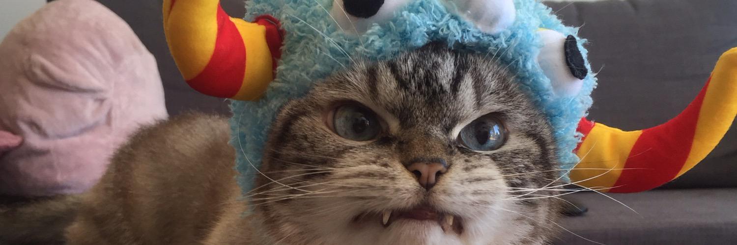 loki_kitteh's profile banner image