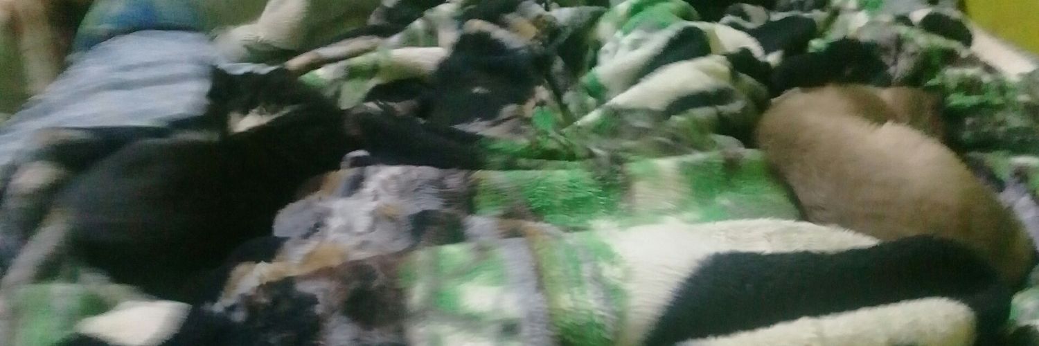 Jaab1002's profile banner image