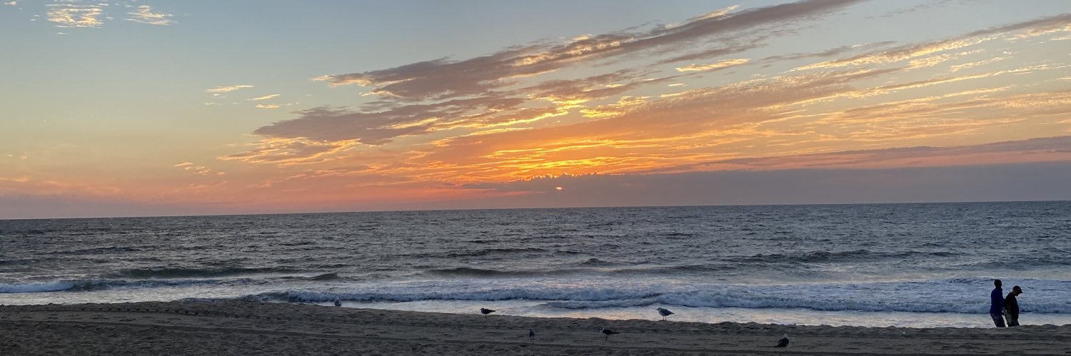 gracewils0nn's profile banner image