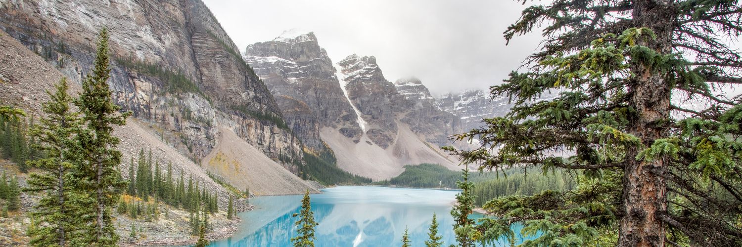 CaydencePhoto's profile banner image