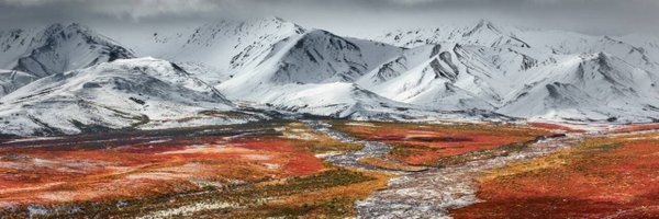 TrustedSheriff Profile Banner