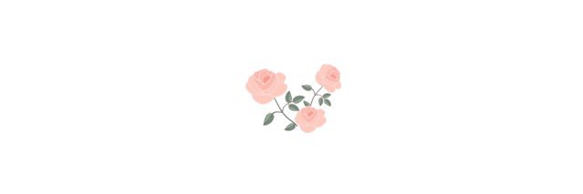 sojugns's profile banner image