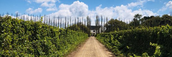 Domwritesstuff Profile Banner