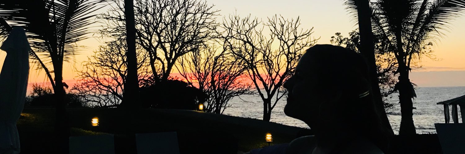 FllowerSantos's profile banner image