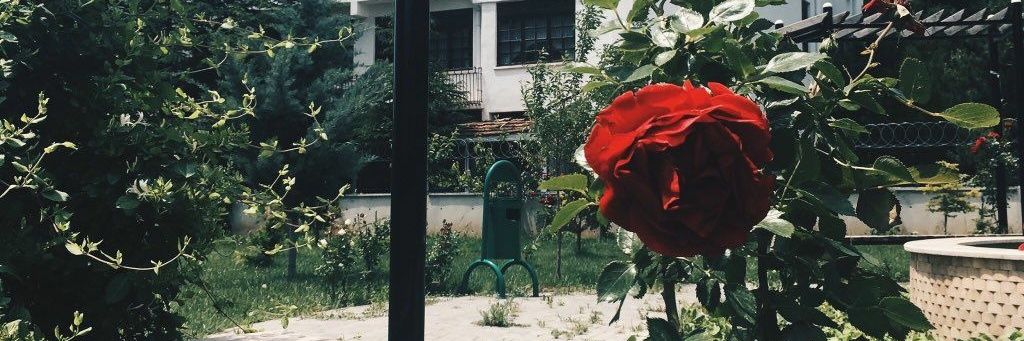 𝖕𝖔𝖑𝖑𝖎𝖙𝖙. banner