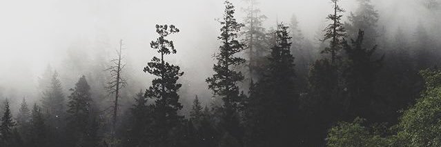 mgraceee29's profile banner image
