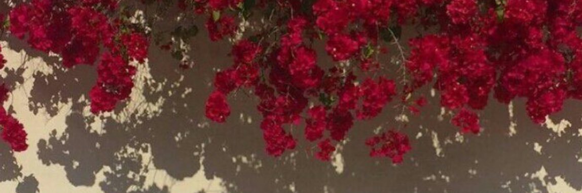 Gil_Cil's profile banner image