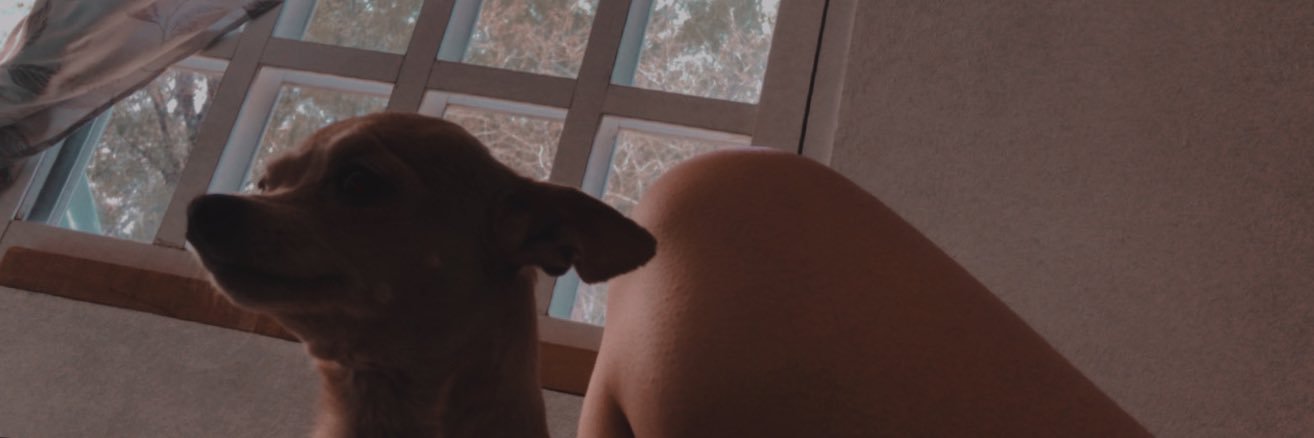 MonMasiel's profile banner image