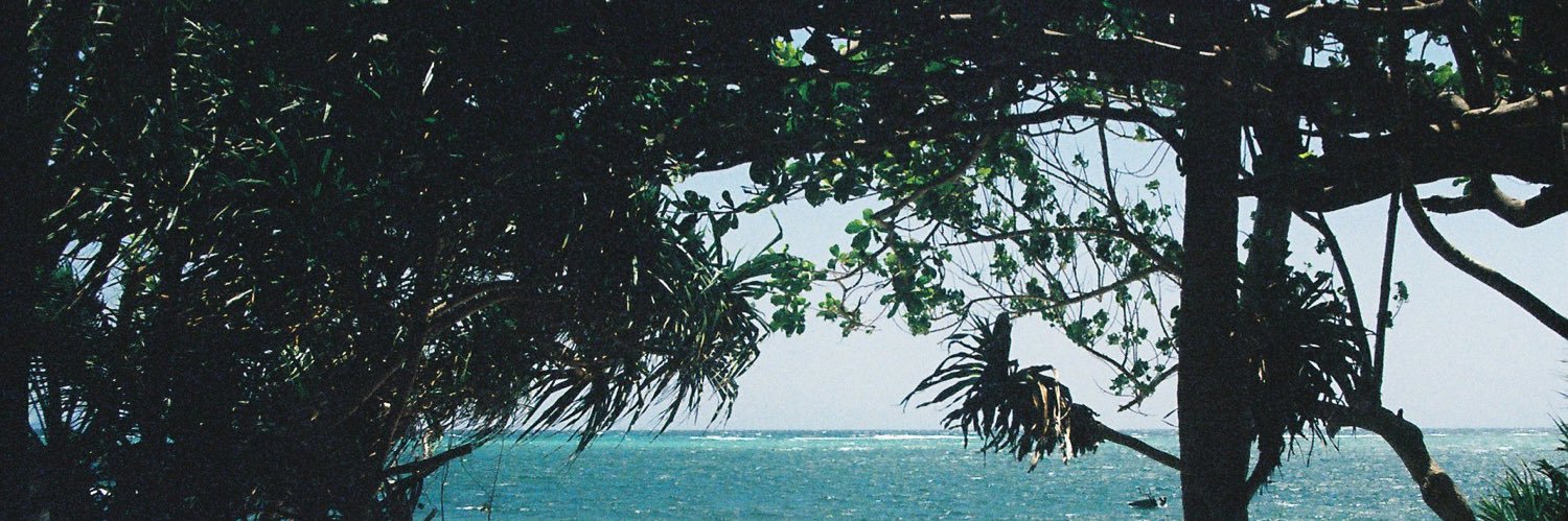 cersea's profile banner image