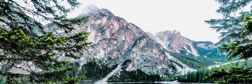 RexAndrewsJr's profile banner image