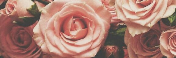 Aine_ok's profile banner image