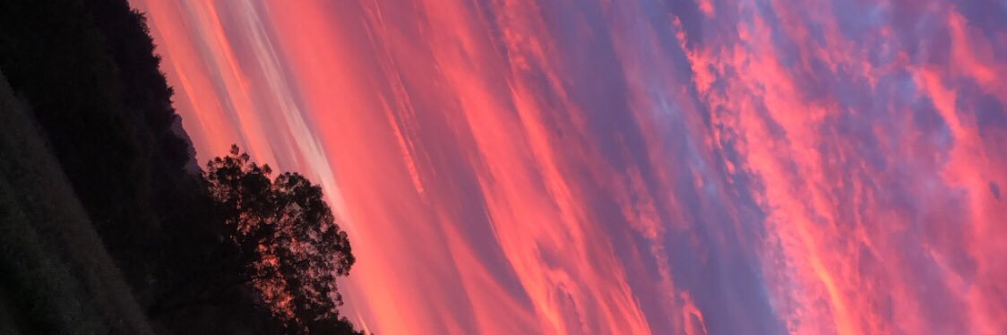torrr_nado's profile banner image