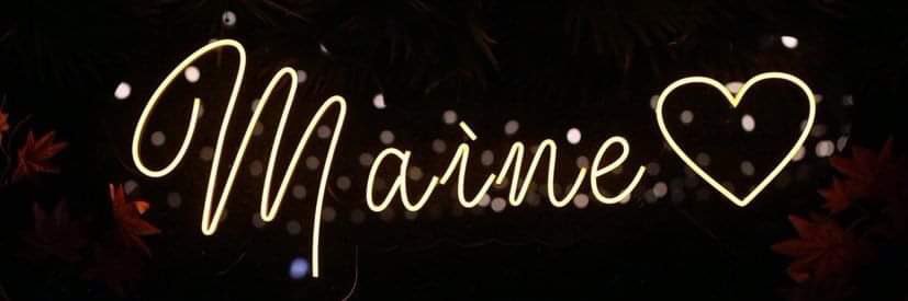 Juliet Javier banner