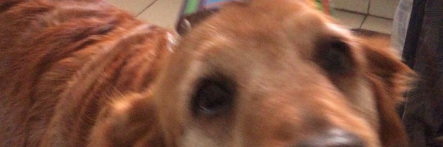 FernandaE99's profile banner image