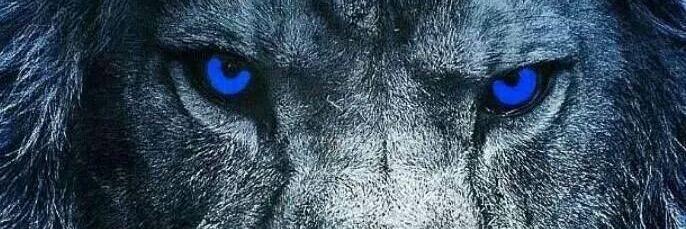 rev_dmass_'s profile banner image