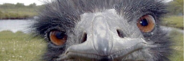 stopmelissa2k15's profile banner image