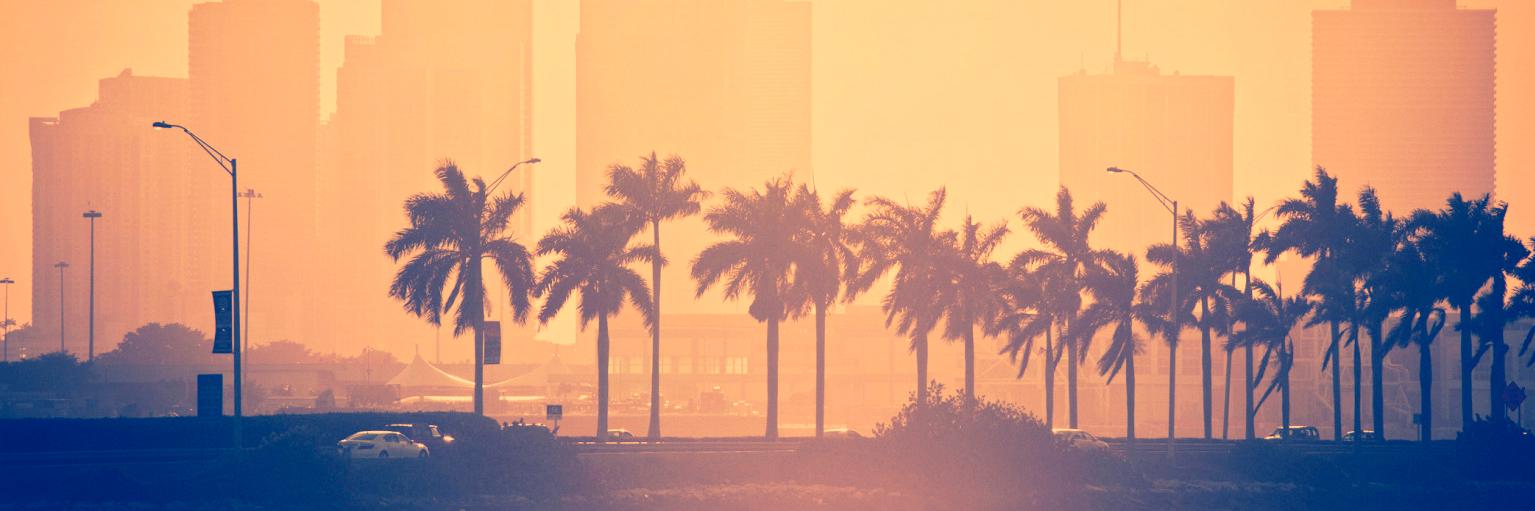 dozhdidet's profile banner image