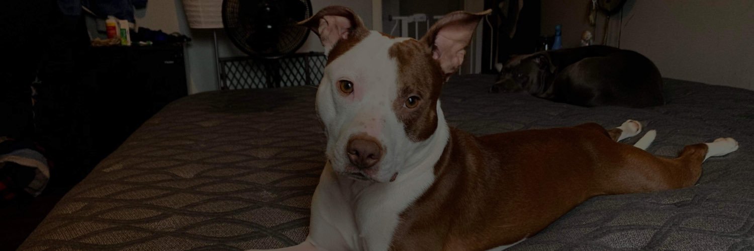 _destinyalizeee's profile banner image