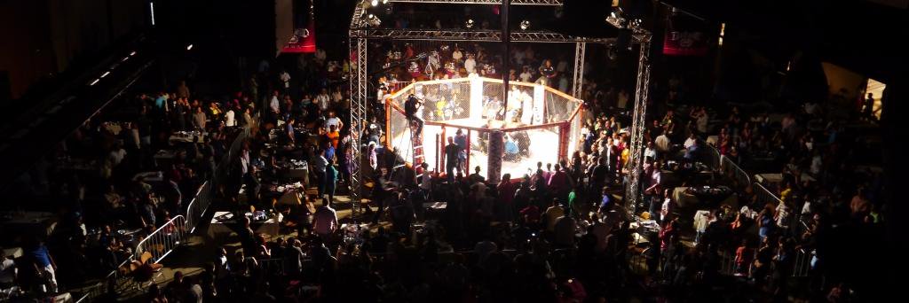 Panama Fight League banner