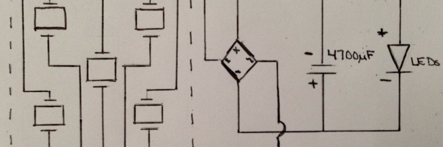 Heidi-Ann Poltl (she/her) banner