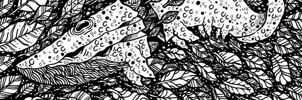 cachalotefuzz's profile banner image