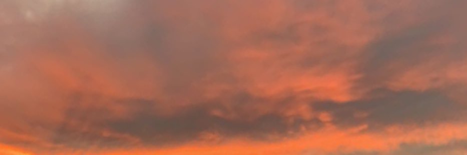 alyssamiIIer's profile banner image
