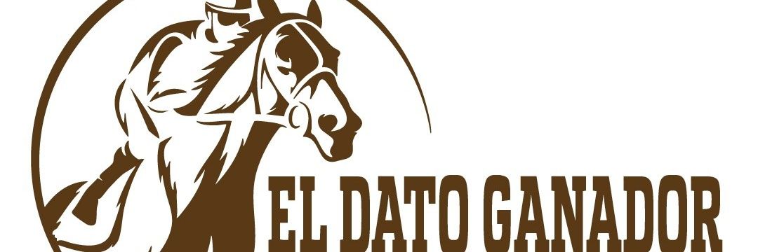 ElDatoGanador_ banner