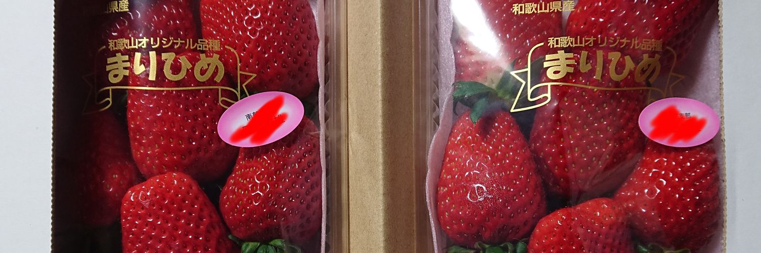 真理🐬@まっぴ🍓 banner