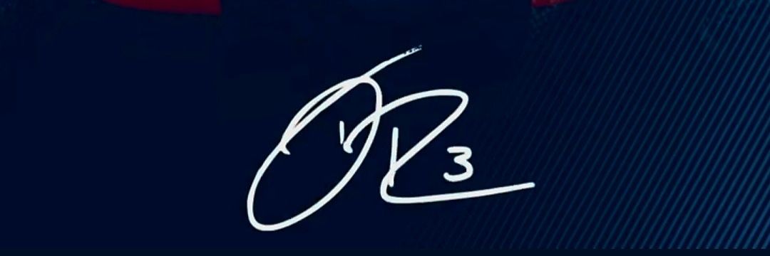Ashley banner