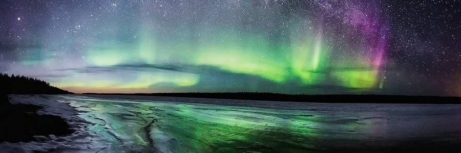 NWTPapaBear's profile banner image