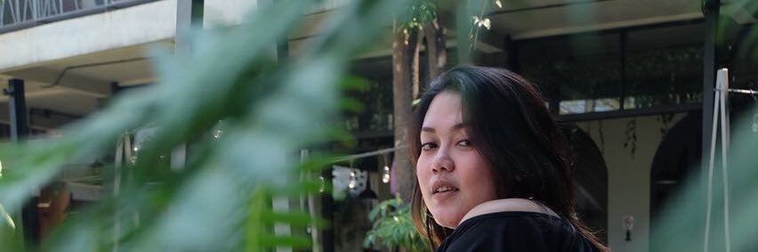 alpanesa's profile banner image