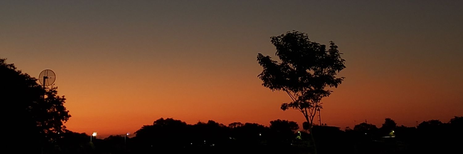 YaelColombo1's profile banner image