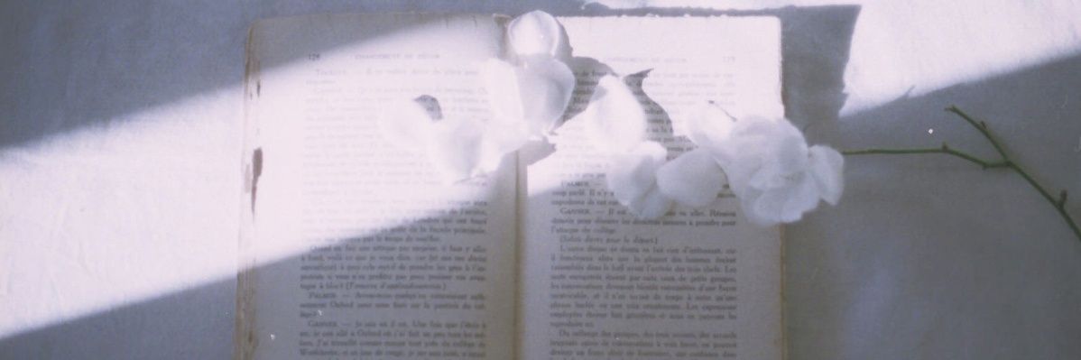 mangeltrol0's profile banner image