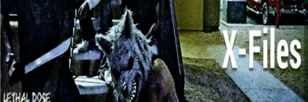 xCNNetwork's profile banner image