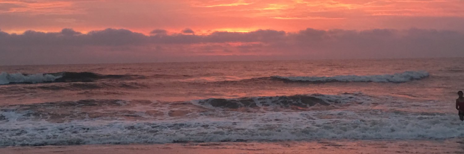 paulanrojas's profile banner image