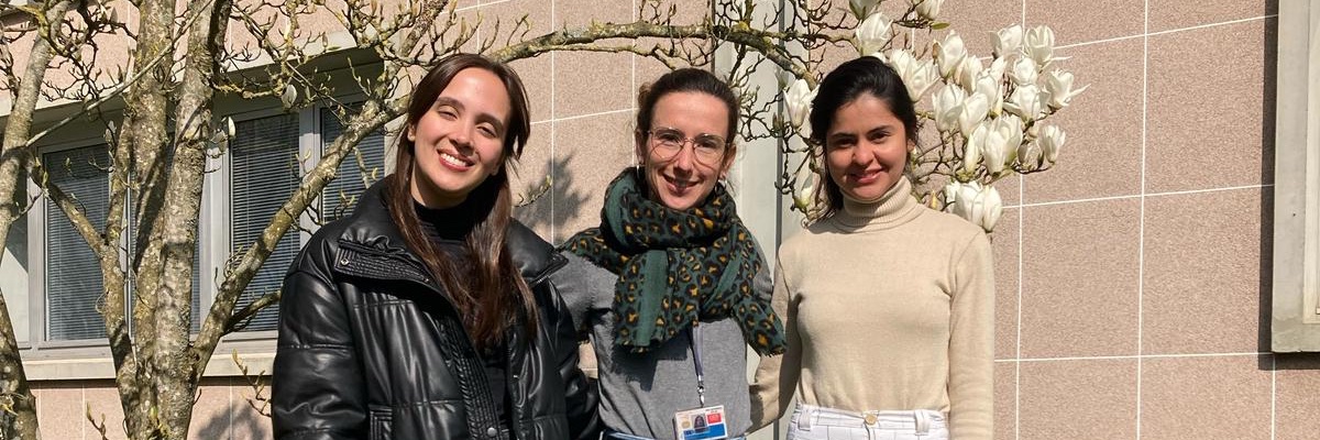 Molander Group banner