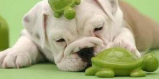 Frend_Y's profile banner image