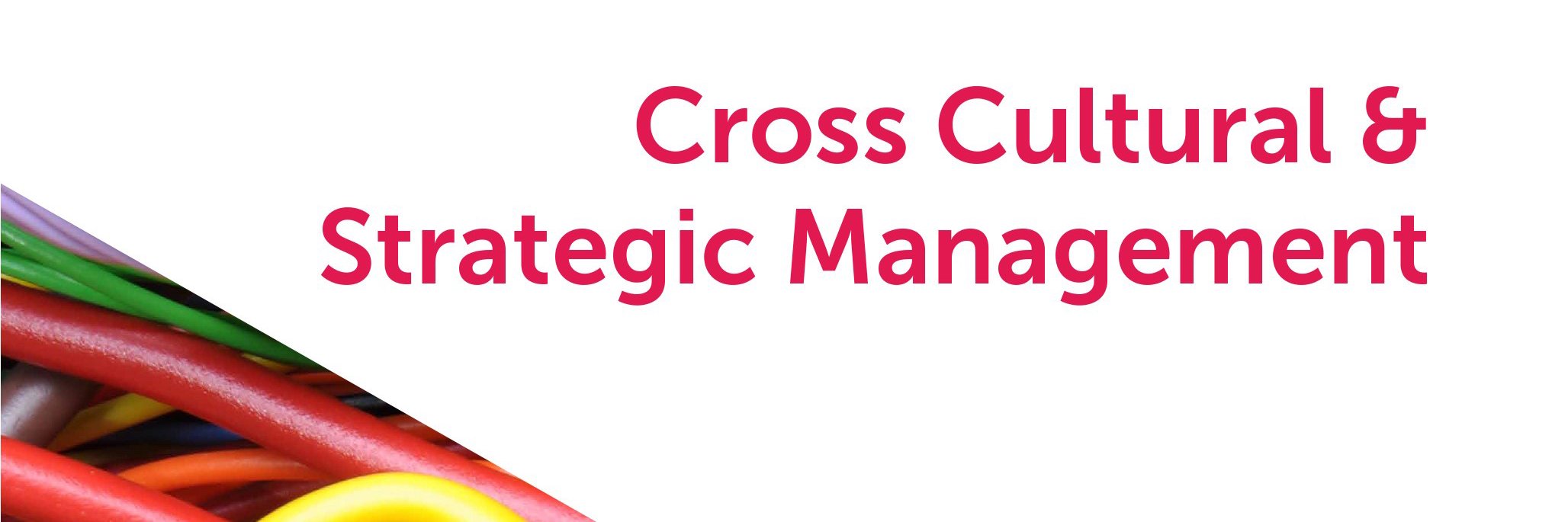 CCSM Journal banner