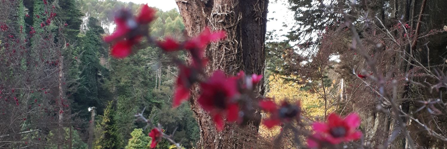 JustoEvilane's profile banner image