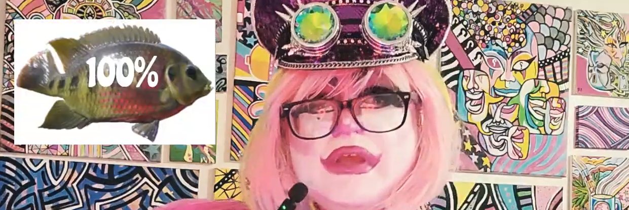 DaCandyDandy's profile banner image