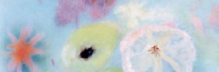 mariesddy's profile banner image
